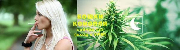гидра Заволжск