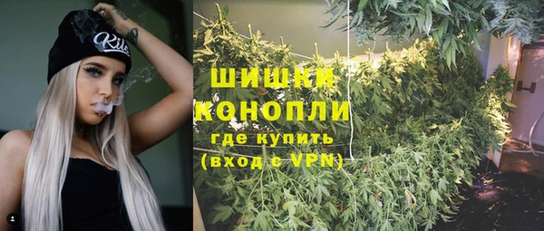 гидра Заволжск