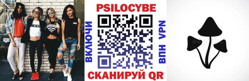 Купить закладки  Зверево  Галлюциногенные грибы прущие грибы 